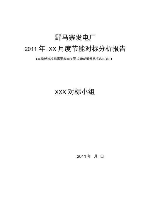 对标分析报告模板