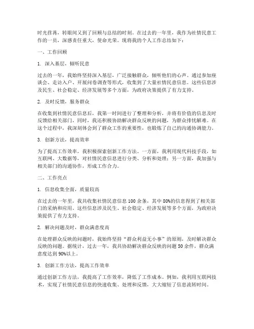 社情民意个人工作总结