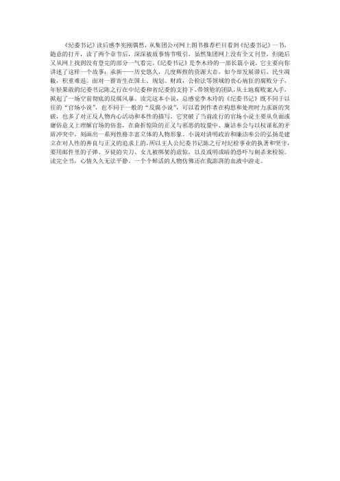 《纪委书记》读后感
