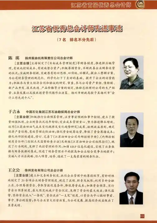 江苏省优秀总会计师先进事迹