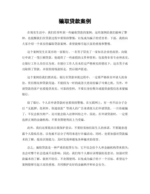 骗取贷款案例