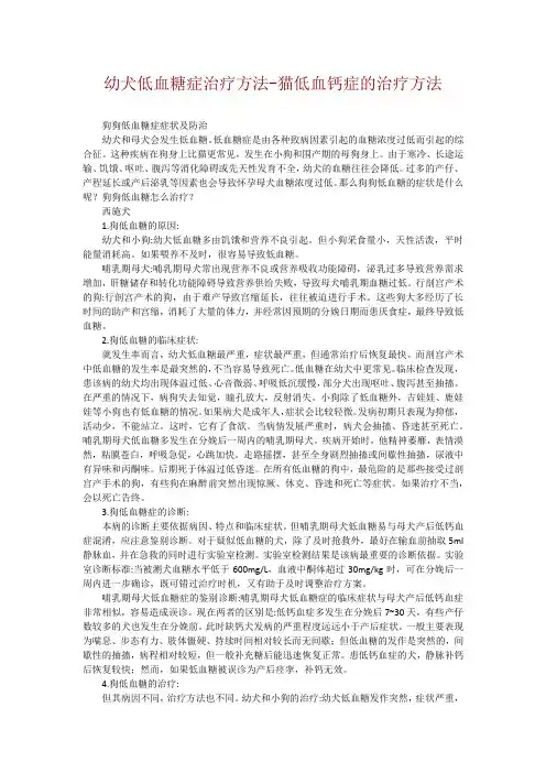 幼犬低血糖症治疗方法-猫低血钙症的治疗方法