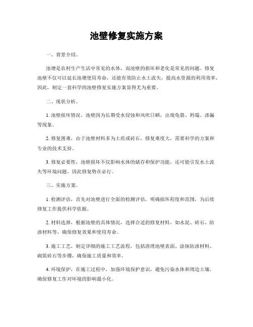 池壁修复实施方案