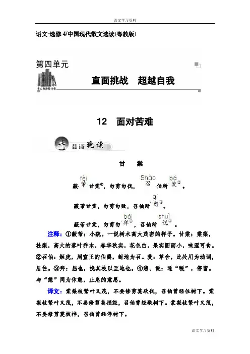 高中语文(粤教版选修 中国现代散文选读)第4单元 12 面对苦难