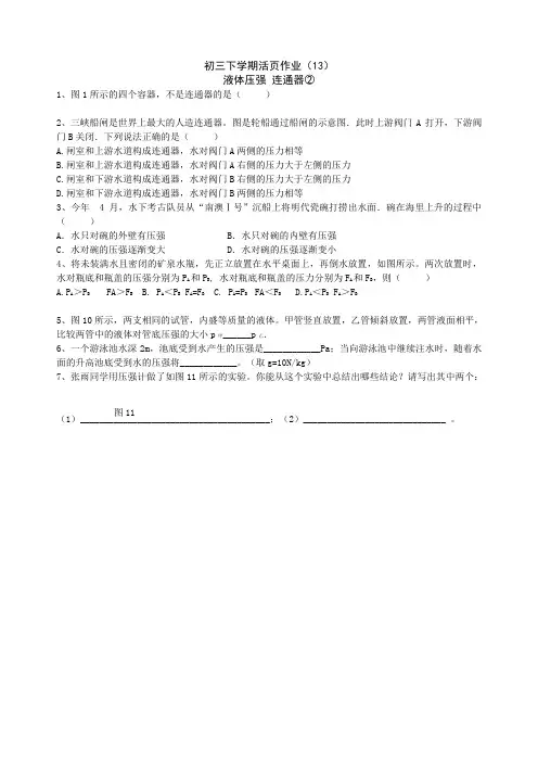 (五四制)九年级物理下学期活页作业(13)word版(2019~2020学年度)