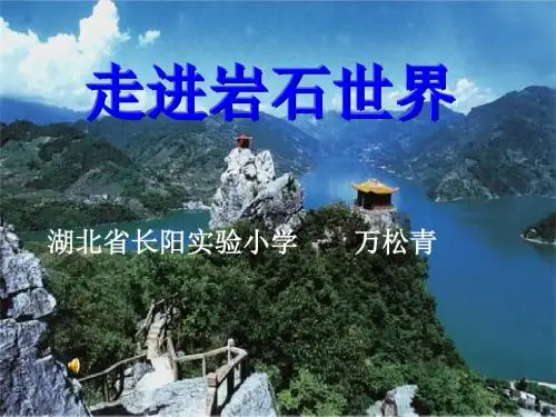 苏教版科学五下《认识常见岩石》PPT课件3