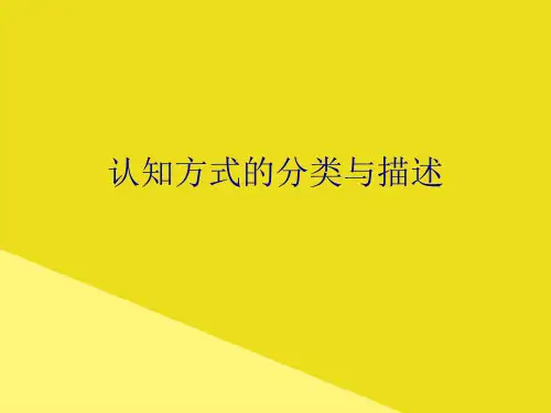 认知方式的分类与描述PPT资料(正式版)