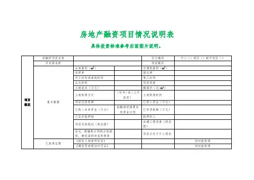 房地产融资申请表