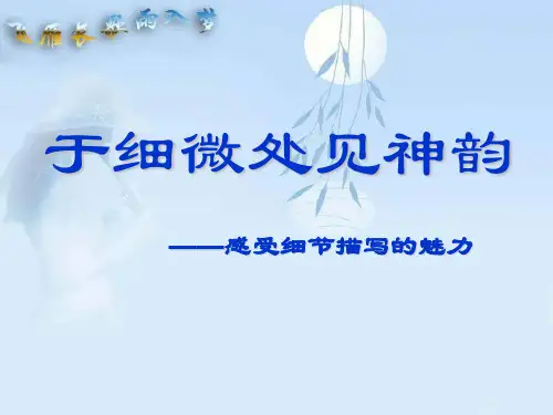 于细微处见神韵概要