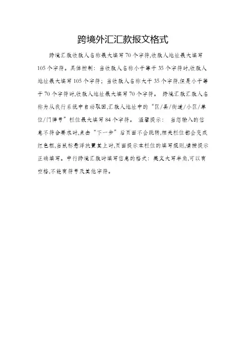 跨境外汇汇款报文格式