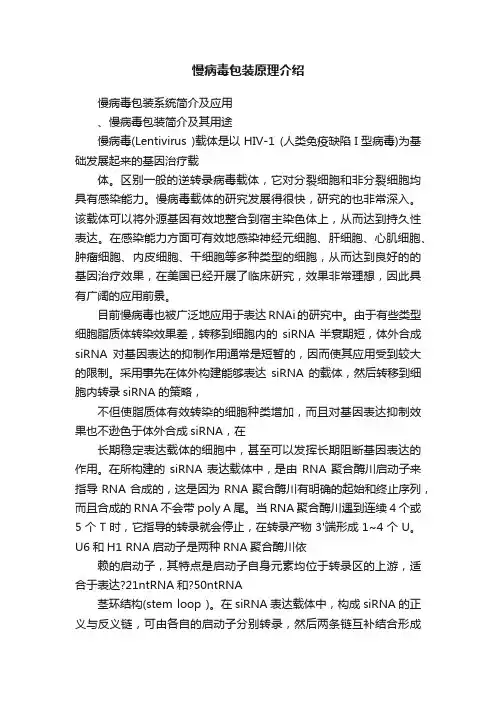 慢病毒包装原理介绍
