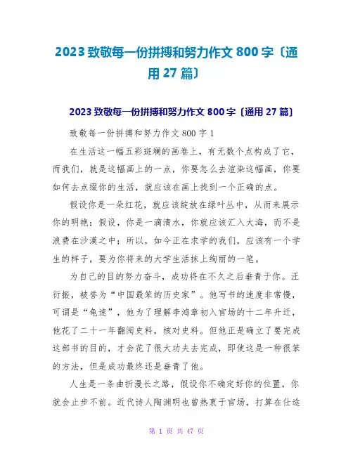 2023致敬每一份拼搏和努力作文800字(通用27篇)