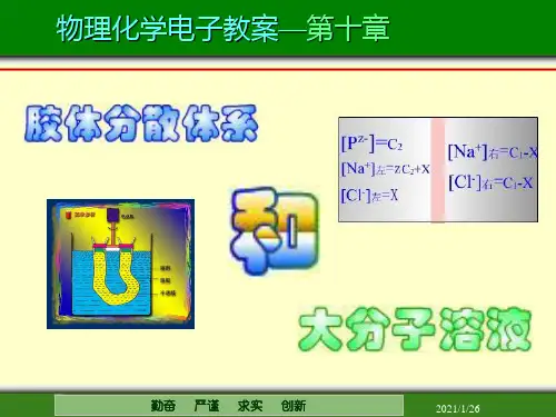 胶体分散体系和大分子溶液PPT