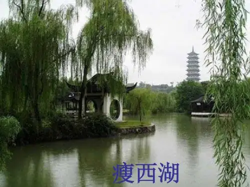 语文精华课件：姜夔词《扬州慢》
