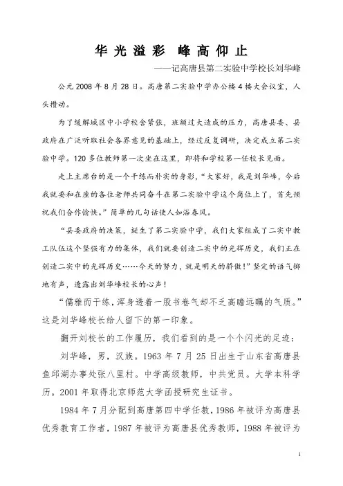 张树岭：华 光 溢 彩  峰 高 仰 止