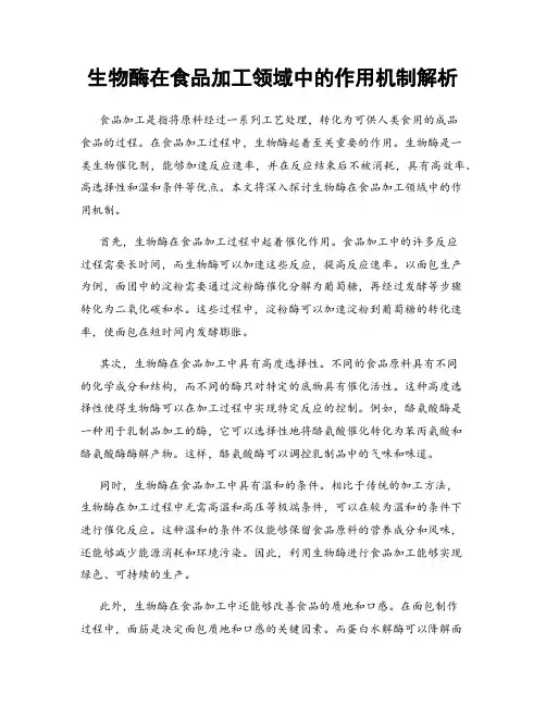 生物酶在食品加工领域中的作用机制解析