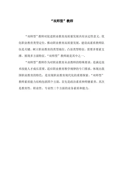 双师型教师队伍建设之我见