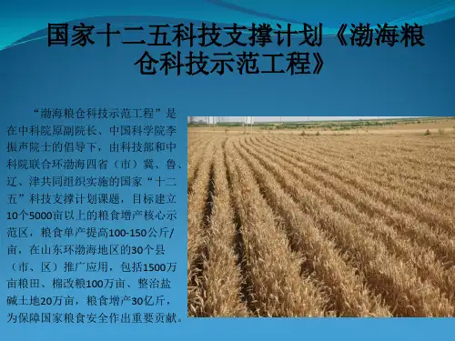 ETS微生物技术在盐碱地改良方面技术攻关与示范效果