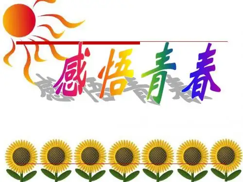 感悟青春ppt课件