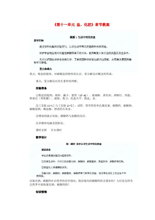 九年级化学下册《第十一单元 盐、化肥》章节教案 新人教版