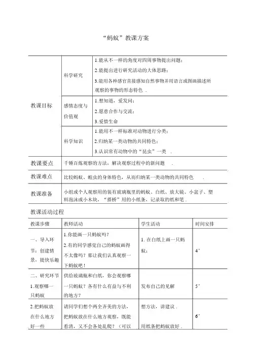 教科小学科学三上《2.5、蚂蚁》word教案(2)