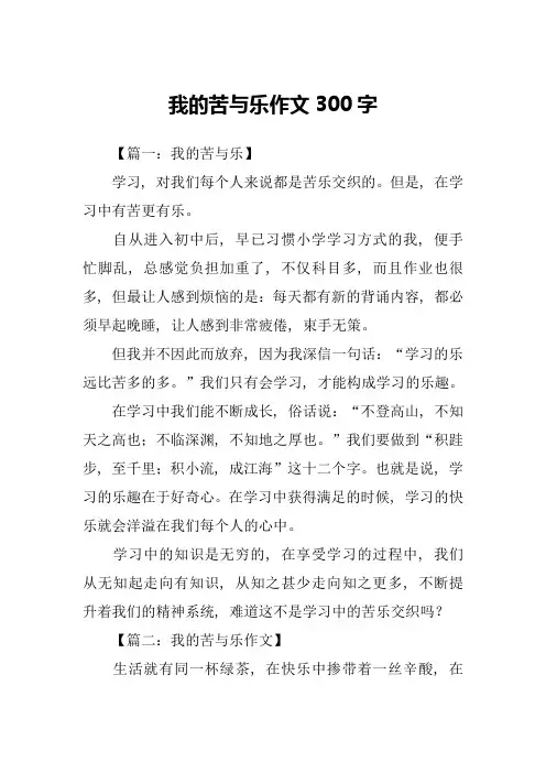 我的苦与乐作文300字