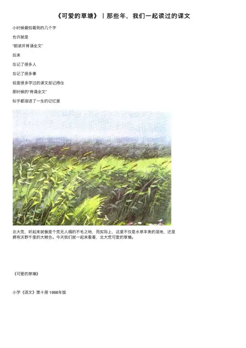 《可爱的草塘》丨那些年，我们一起读过的课文