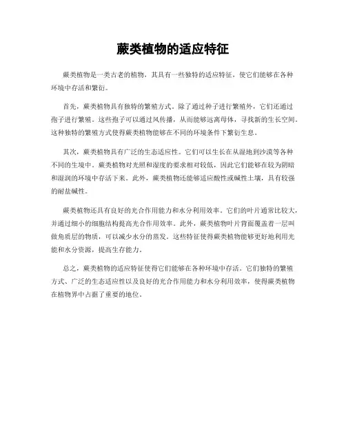 蕨类植物的适应特征