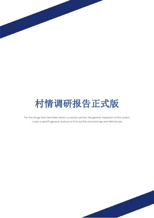 村情调研报告正式版