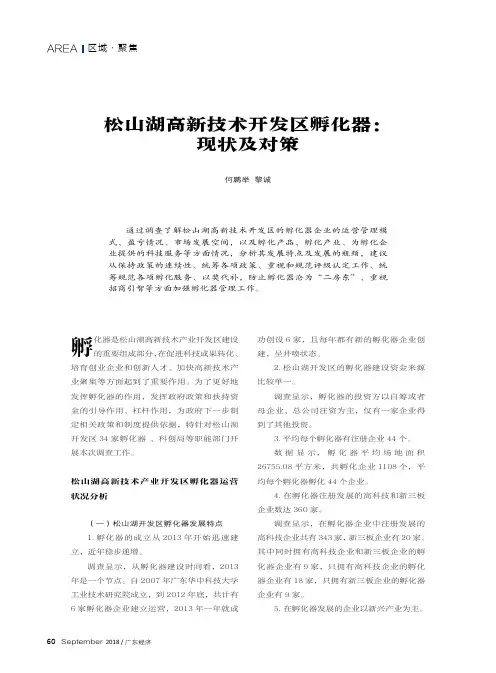 松山湖高新技术开发区孵化器：现状及对策