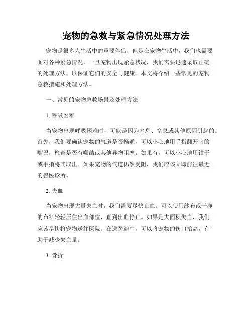 宠物的急救与紧急情况处理方法