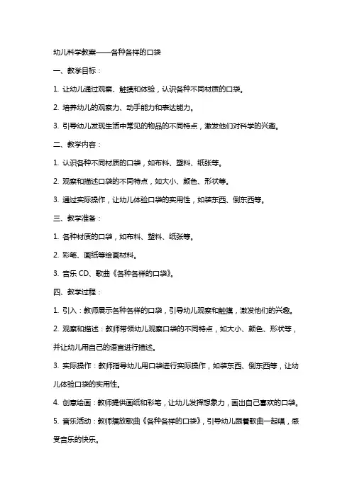 幼儿科学教案各种各样的口袋