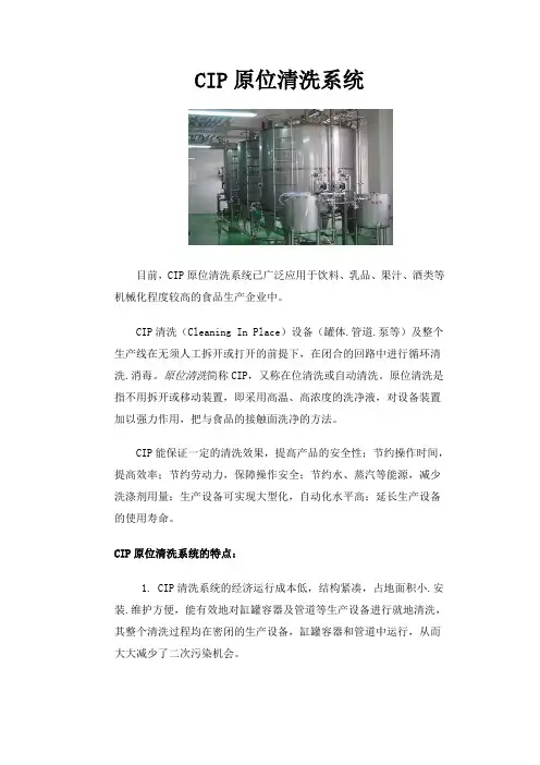 CIP原位清洗系统
