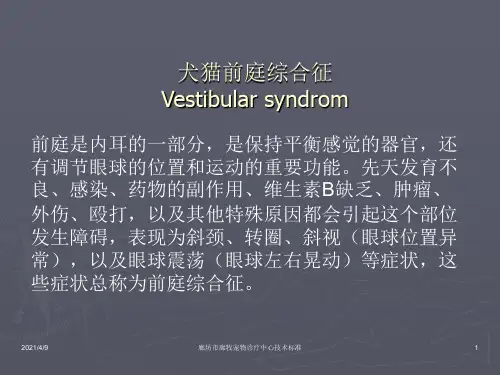 犬猫前庭综合征