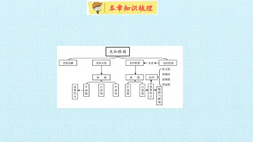 沪粤版八年级物理上册第三章光和眼睛复习课件ppt