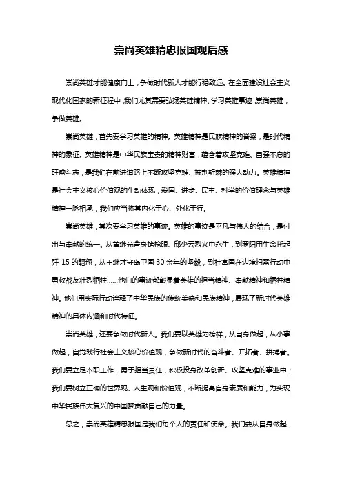 崇尚英雄精忠报国观后感