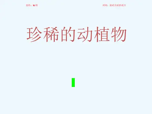 四年级科学 第四单元 生物与环境 第19课《珍稀动植物》1 小学四年级自然科学