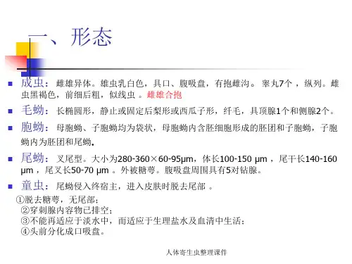 人体寄生虫整理课件