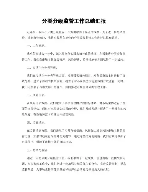 分类分级监管工作总结汇报