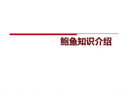 鲍鱼知识全面介绍