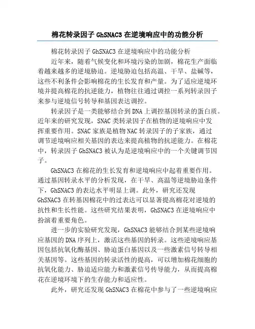 棉花转录因子GhSNAC3在逆境响应中的功能分析