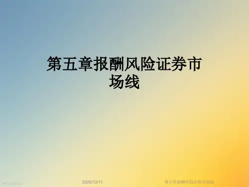 第五章报酬风险证券市场线
