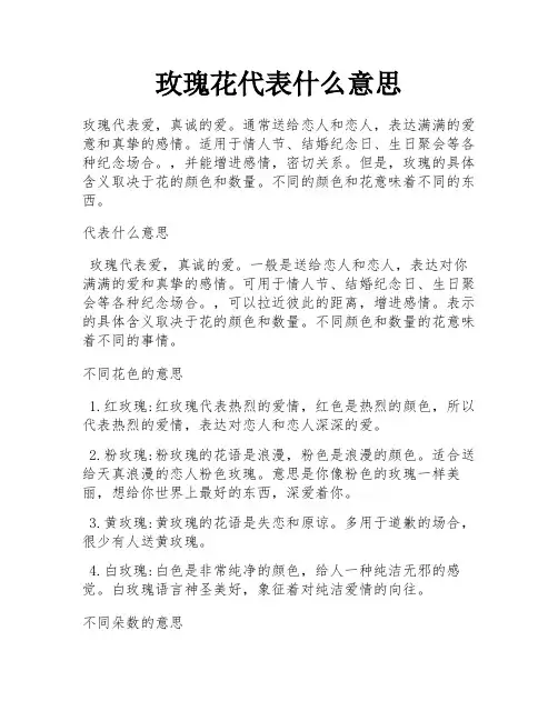 玫瑰花代表什么意思