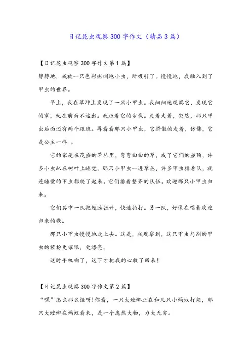 日记昆虫观察300字作文(精品3篇)