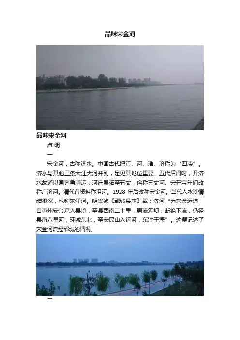 品味宋金河