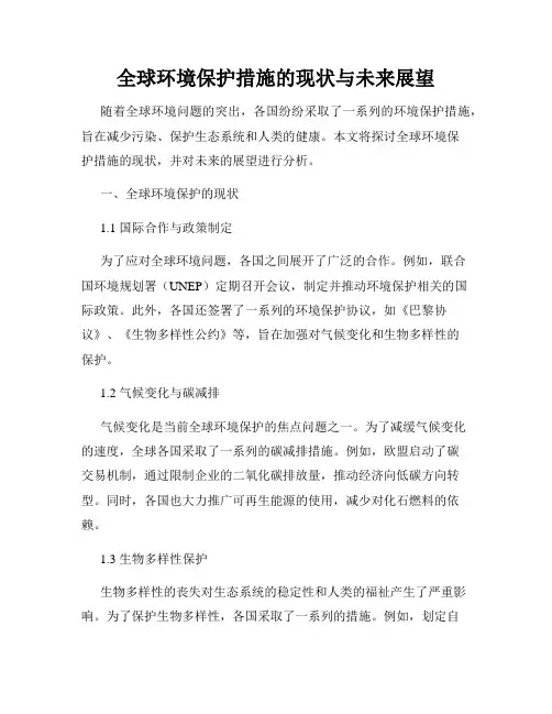 全球环境保护措施的现状与未来展望