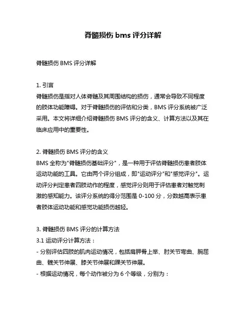 脊髓损伤bms评分详解