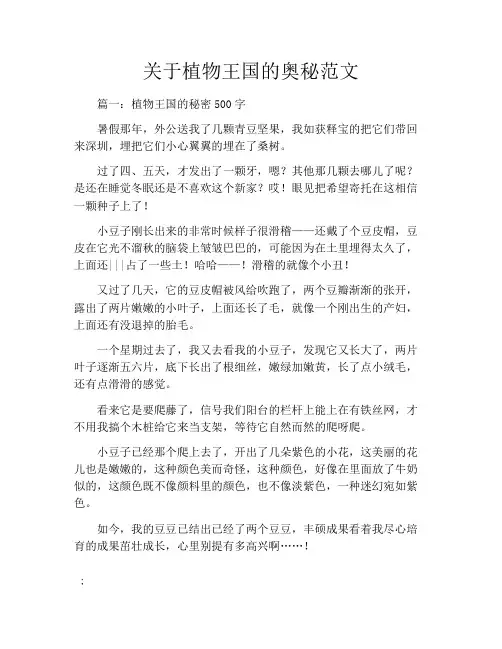 关于植物王国的奥秘范文