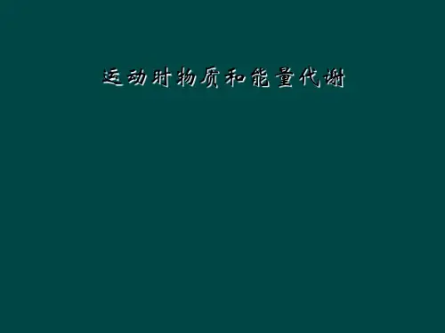 运动时物质和能量代谢