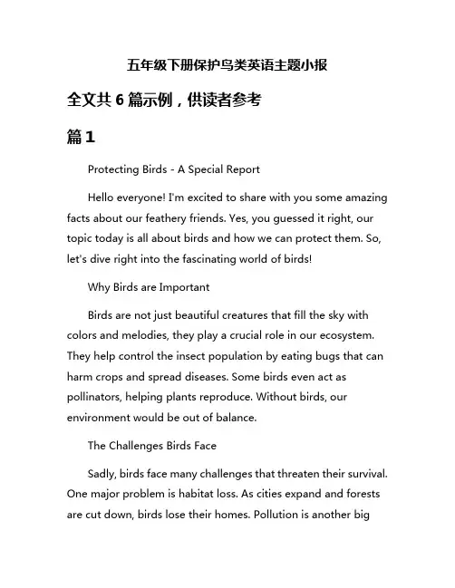五年级下册保护鸟类英语主题小报
